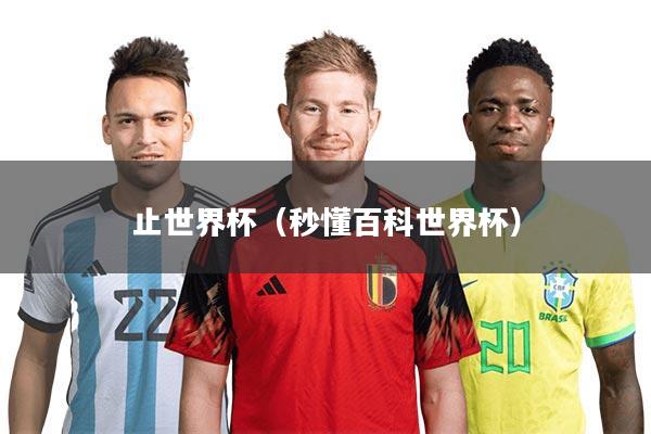 详细阅读:止世界杯(秒懂百科世界杯) 止世界杯(秒懂百科世界杯)