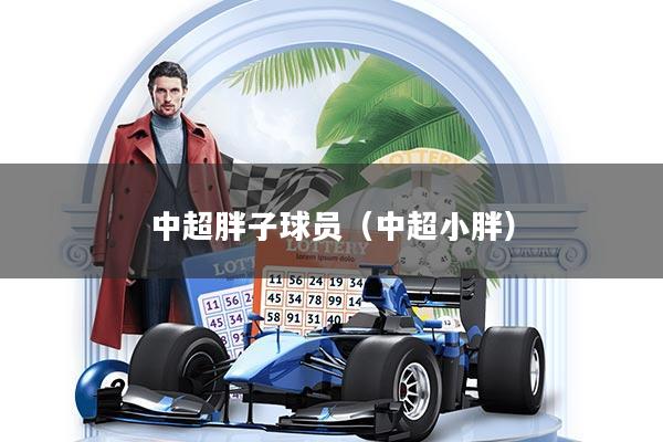 中超胖子球员(中超小胖)