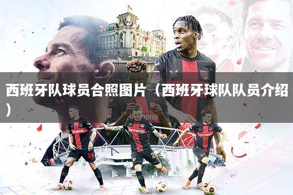 西班牙队球员合照图片(西班牙球队队员介绍)