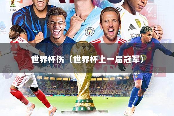 详细阅读:世界杯伤(世界杯上一届冠军) 世界杯伤(世界杯上一届冠军)