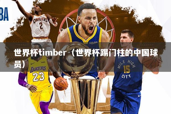 世界杯timber（世界杯踢门柱的中国球员）