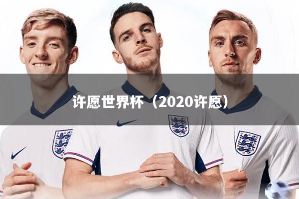 许愿世界杯（2020许愿）