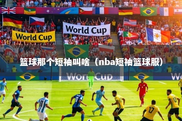 篮球那个短袖叫啥（nba短袖篮球服）